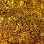 brown dried leaves on ground